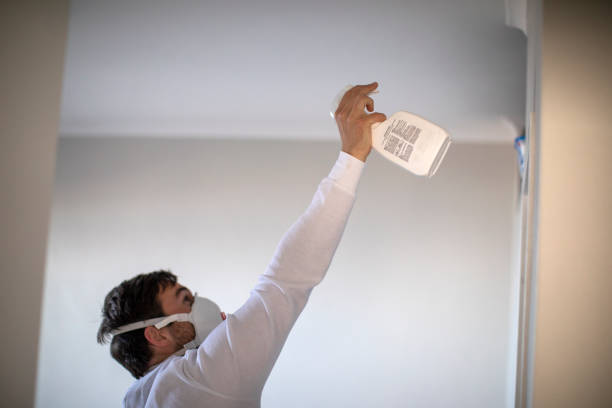 Best Fast Mold Removal  in Park City, IL