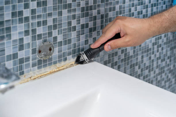 Best Mold Remediation Experts  in Park City, IL
