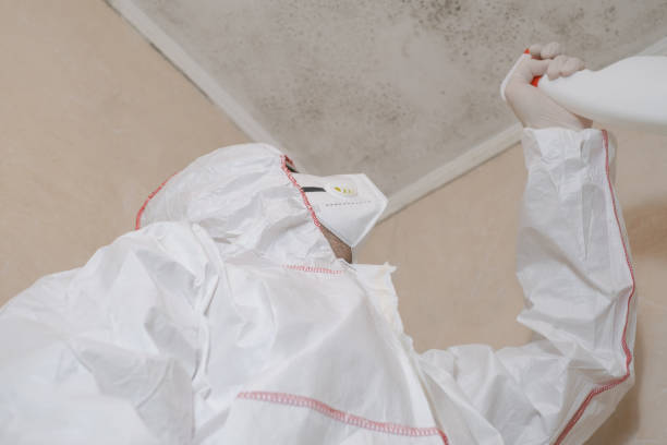 Best Mold Removal and Inspection  in Park City, IL